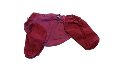 Комбинезон  - Ветровка (без подкладки) 21 девочка (обхват груди 36 - 44)