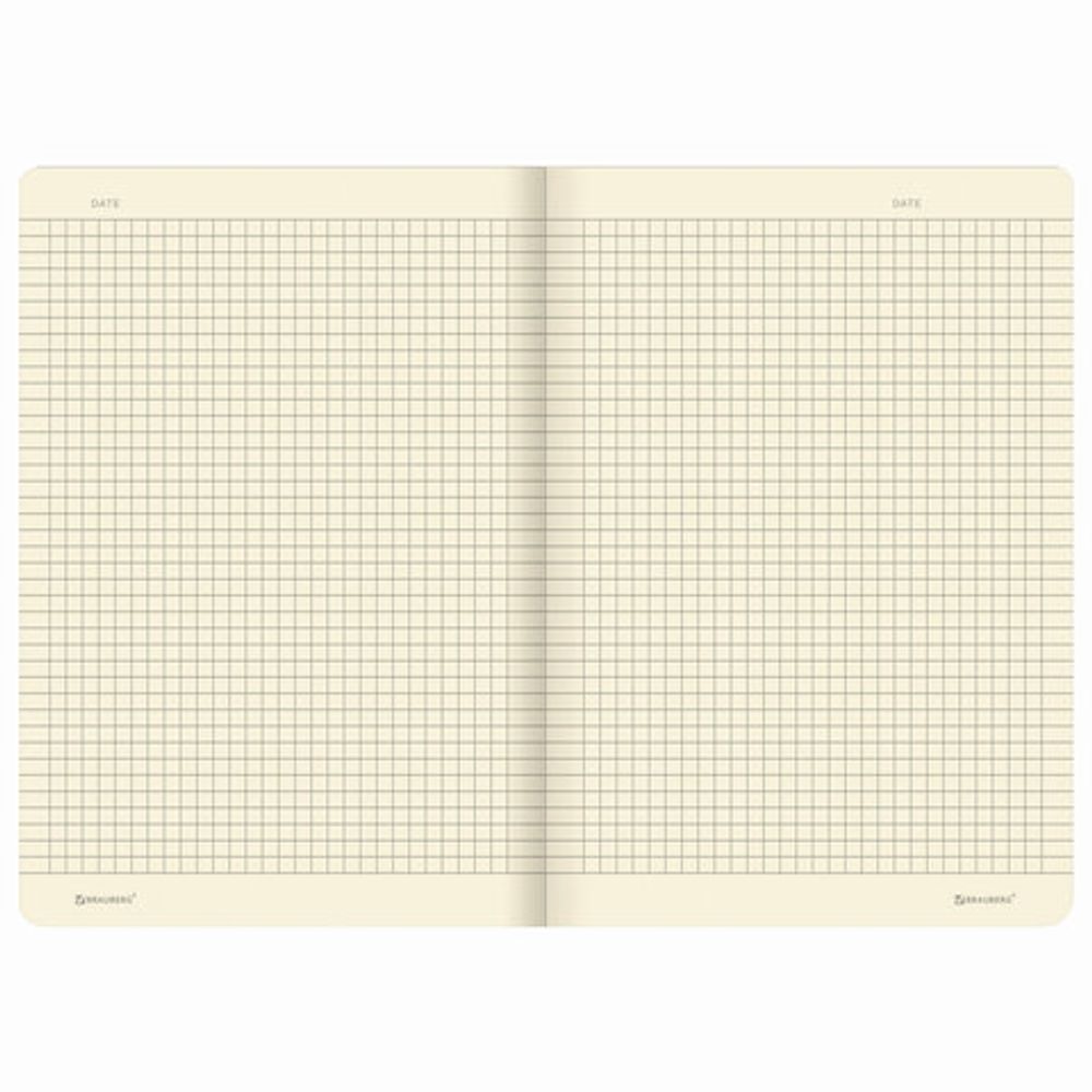 Тетради 40 л. в клетку обложка SoftTouch, НАБОР 3 шт., бежевая бумага 70 г/м2, сшивка, А5 (147х210 мм), SUMMER, BRAUBERG, 403793