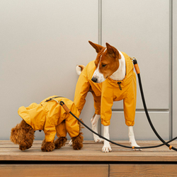 Комбинезон "Пони-комбинезони" без утеплителя Hunting Pony