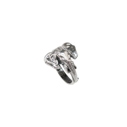 "Гуандо" кольцо в серебряном покрытии из коллекции "Elephants" от Jenavi