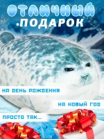 Мягкая игрушка Тюлень Виталий 20 см