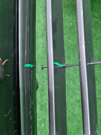 Бампер передний Toyota Camry 8 XV70 (2017-2021)