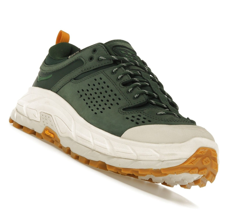 Полуботинки unisex Hoka TOR ULTRA Lo