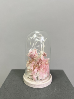 Клош Озотамнус