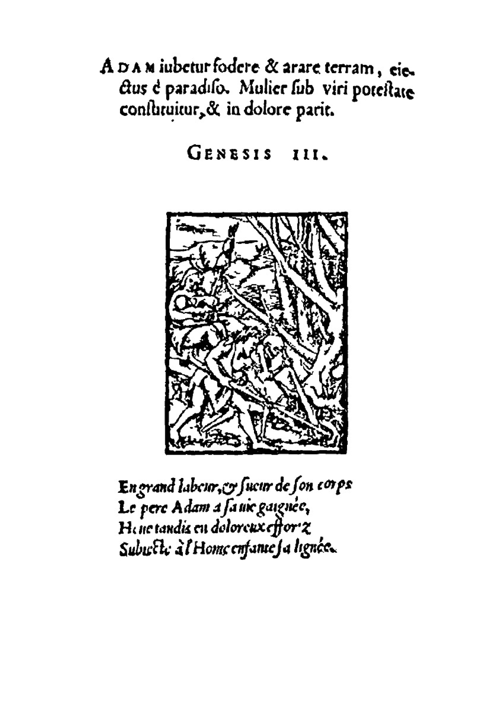 Иллюстрированные истории Ветхого Завета | Г. Гольбейн