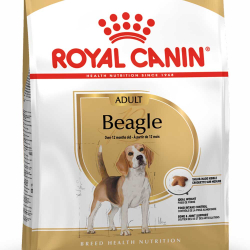 Royal Canin Beagle Adult - корм для собак породы бигль