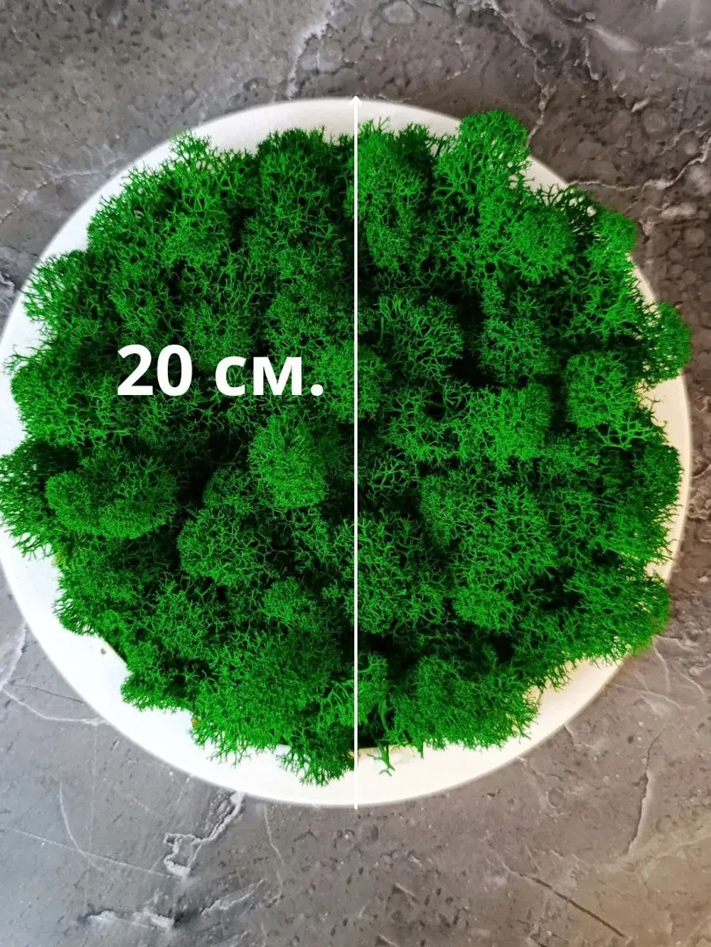 Круглое панно на стену из мха набор 3 шт.