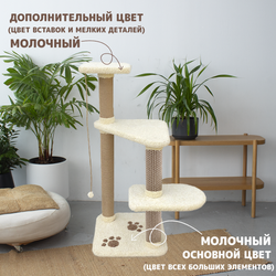Рим