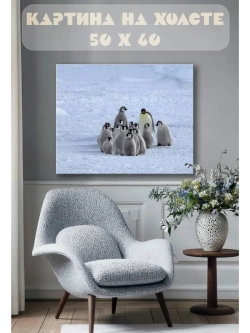 Картина на стену 40 X 50 Пингвины