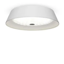 Потолочный светильник FR10013CL-L24W Элементы 24 Вт LED Freya fr10013cl-l24w