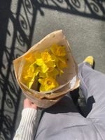 Кулек из нарциссов