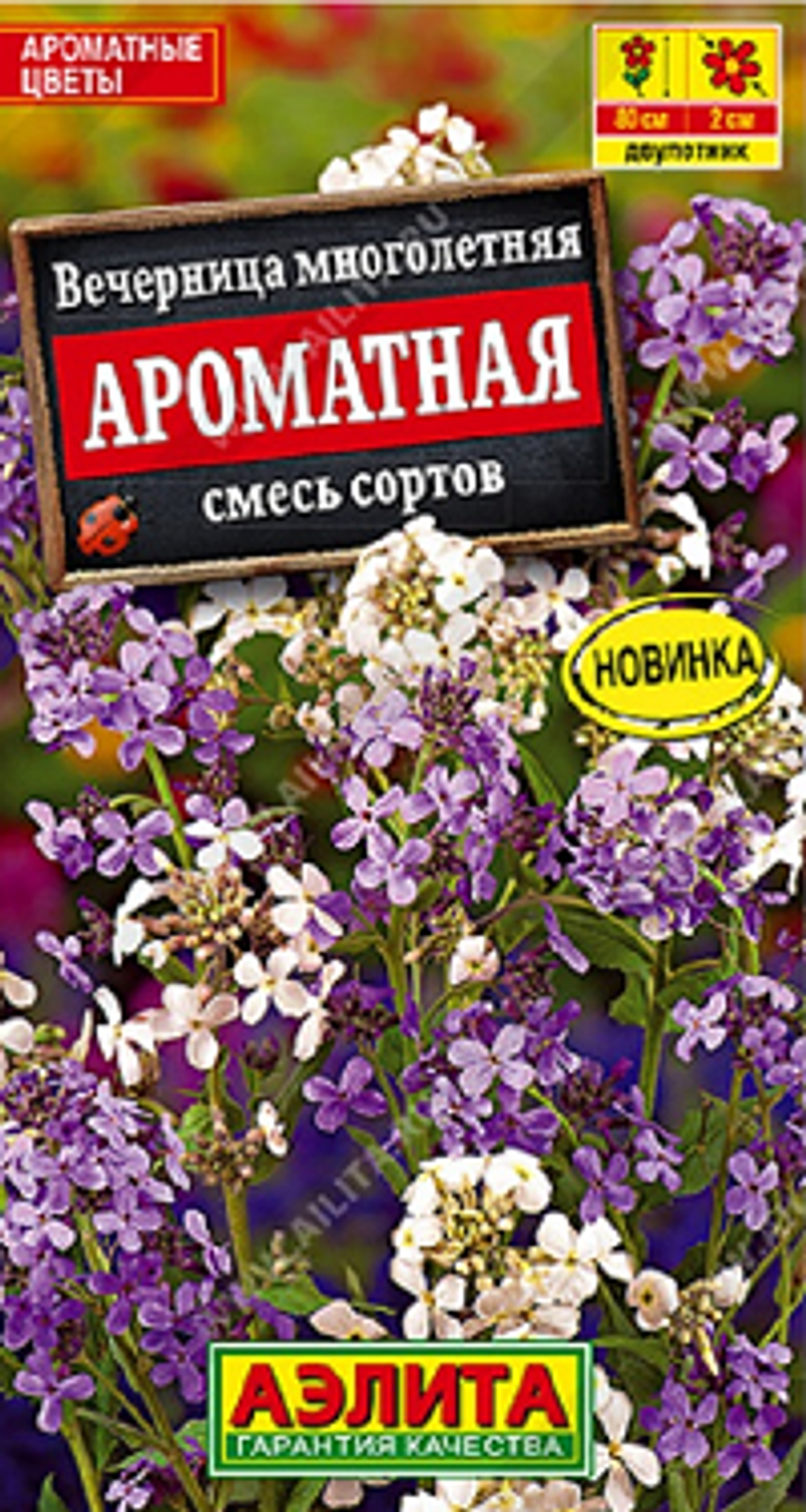 Вечерница Ароматная, смесь сортов