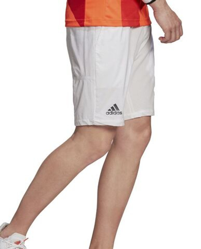 Мужские теннисные шорты Adidas Ergo Shorts 7" M - white/black