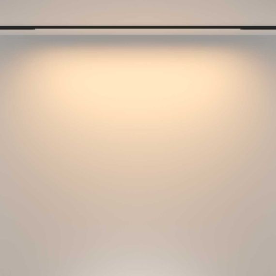 Трековый светильник Maytoni Technical TR173-1-24WTW-B