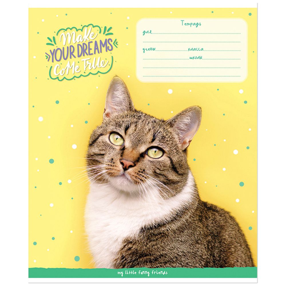Тетрадь 18л, линия, Спейс Питомцы. Funny cats