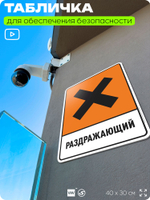 Табличка для обеспечения безопасности "Раздражающий", для производства, предприятия, организаций, 40х30 см, Silver Plane x Айдентика Технолоджи