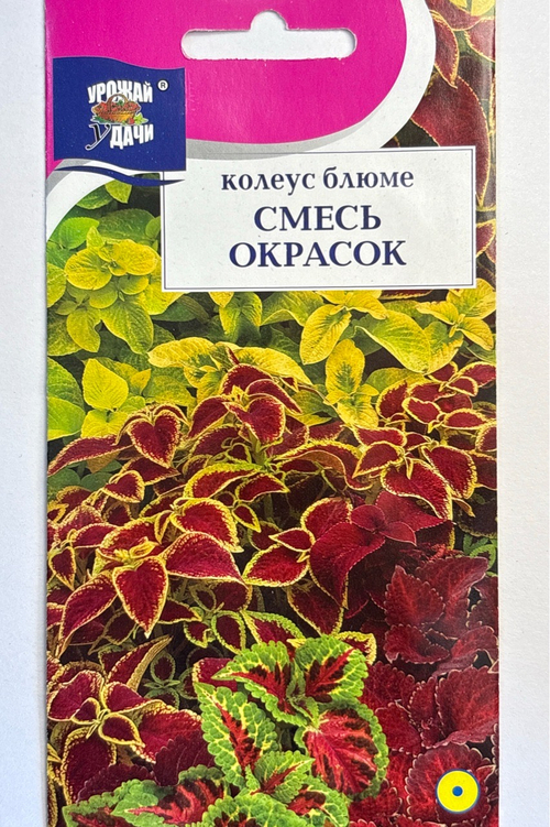 Колеус Блюме Смесь 0,1 г СМЦ-823