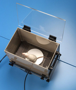 Пассивное избегание (спуск)