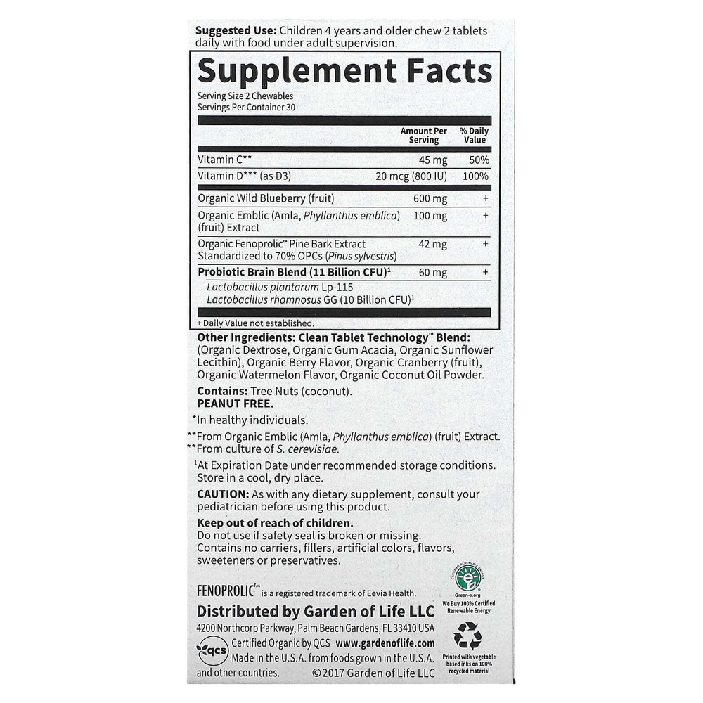 Garden of Life, Dr. Formulated Brain Health, внимание и концентрация для детей, вкус арбуза и ягод, 60 вкусных жевательных таблеток