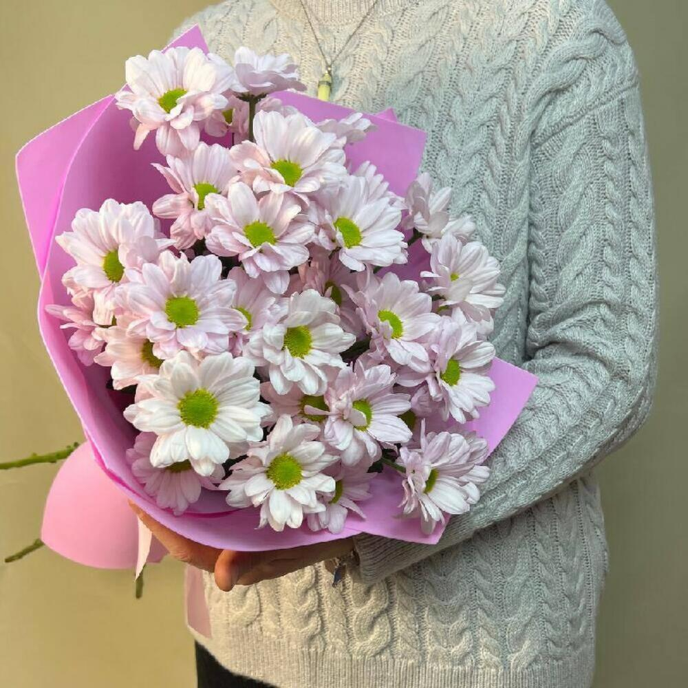 Букет из нежных розовых ромашек кустовых хризантем 5 шт. в упаковке фоамиран