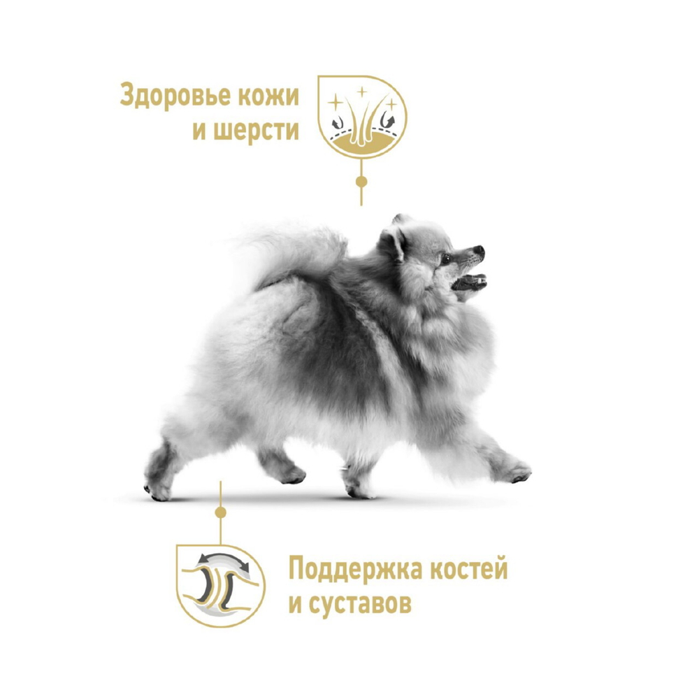 Royal Canin Pomeranian Adult Корм сухой для взрослых собак породы Померанский Шпиц 1,5 кг