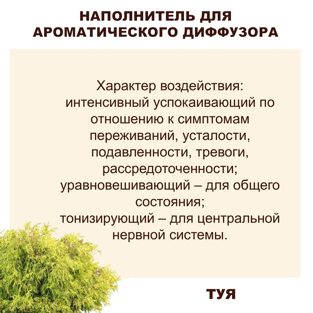 ТУЯ - Наполнитель для ароматического диффузора