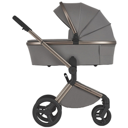 Детская коляска Anex Flo 2 в 1 Charm