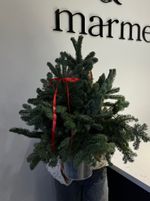 Елка декоративная h-75см