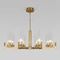 Подвесная люстра Eurosvet Arganie 60133/8 латунь
