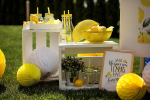 Фотозона "Lemon Party"