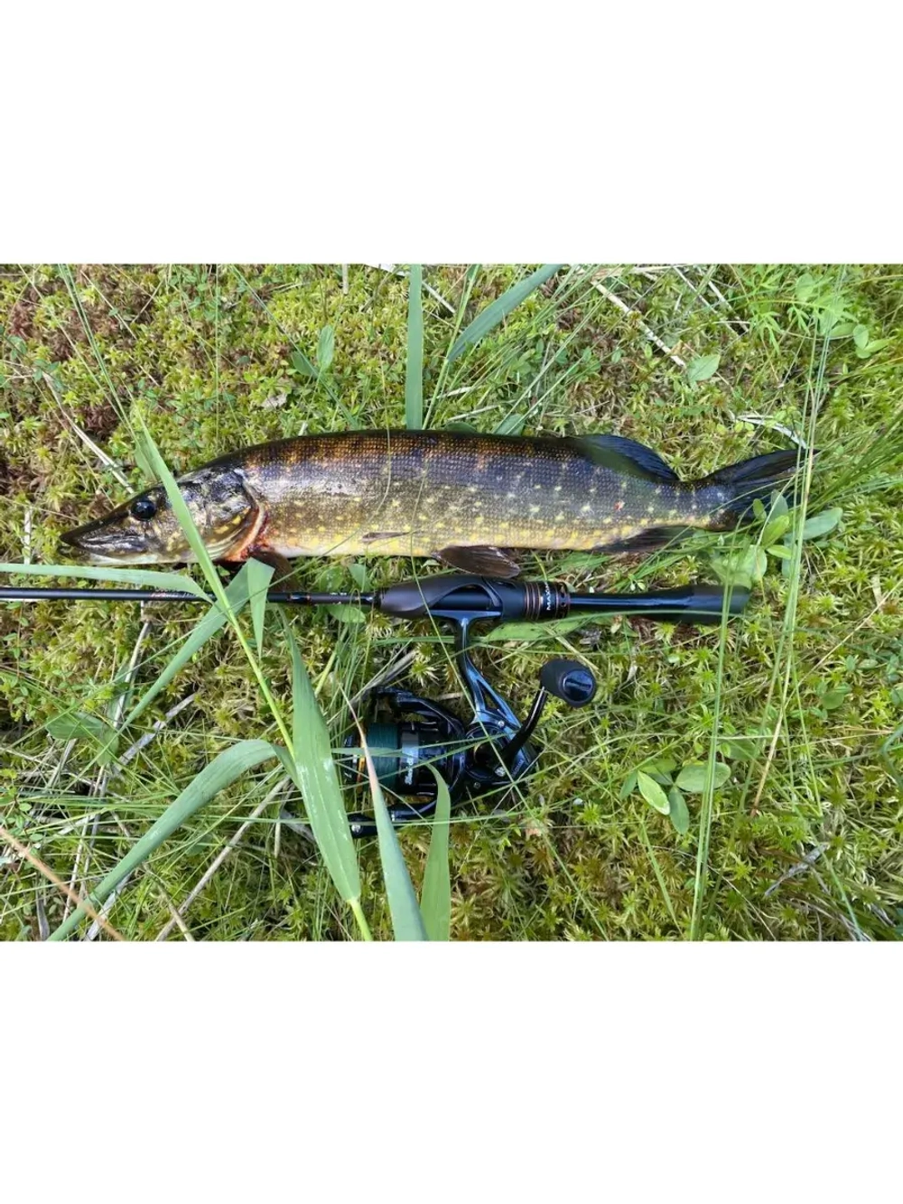 Спиннинг Maximus MINI GUN 15UL 1,5m 1-7g (top solid)