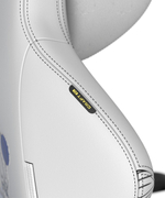 Кресло игровое DXRacer Craft CRA/DXL5000/THINKER