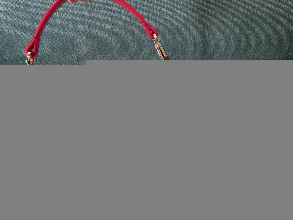 Valentino Small Loco Bag 20 cm