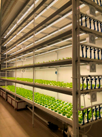 Фитолампа для освещения растений в теплицах и гроубоксах