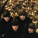 The Beatles / Beatles For Sale (LP)
