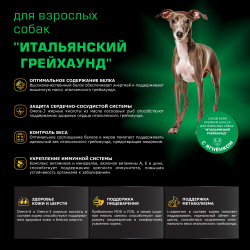 Корм сухой для взрослых собак породы Итальянский грейхаунд, с ягненком, 800 гр, QUATTRO