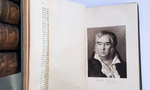 "История русской литературы XIX века". Под редакцией Д. Н. Овсяннико-Куликовского. 1911 г.