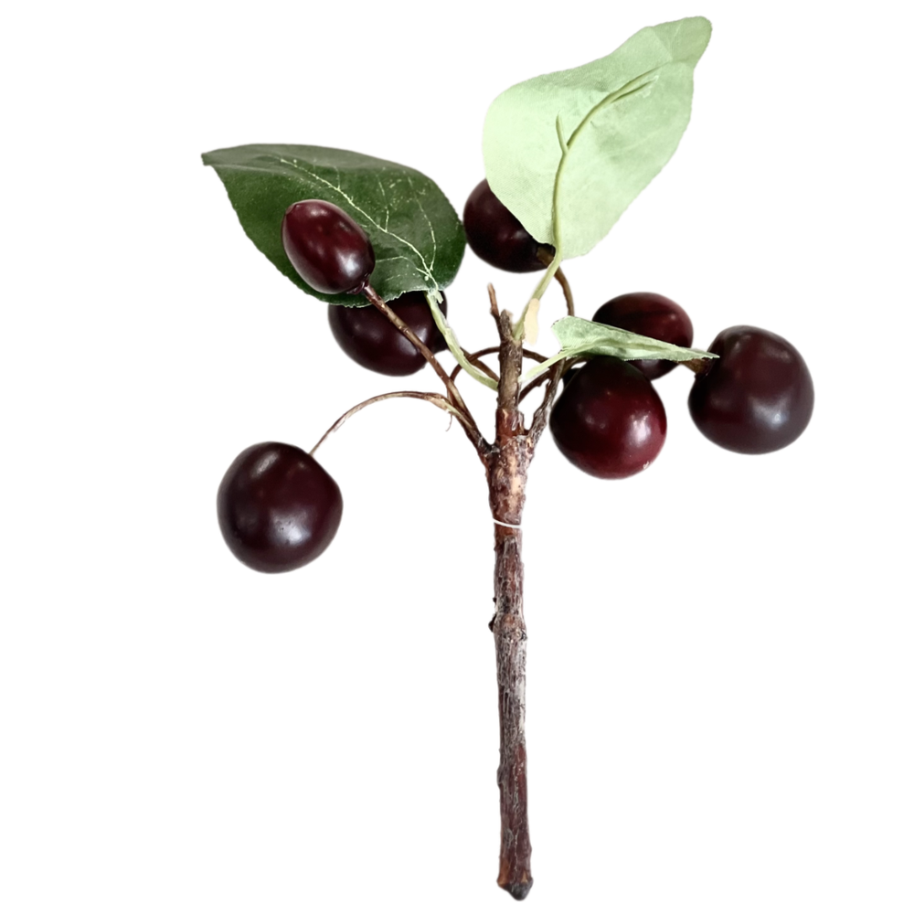 Черешня, ягоды на ветке