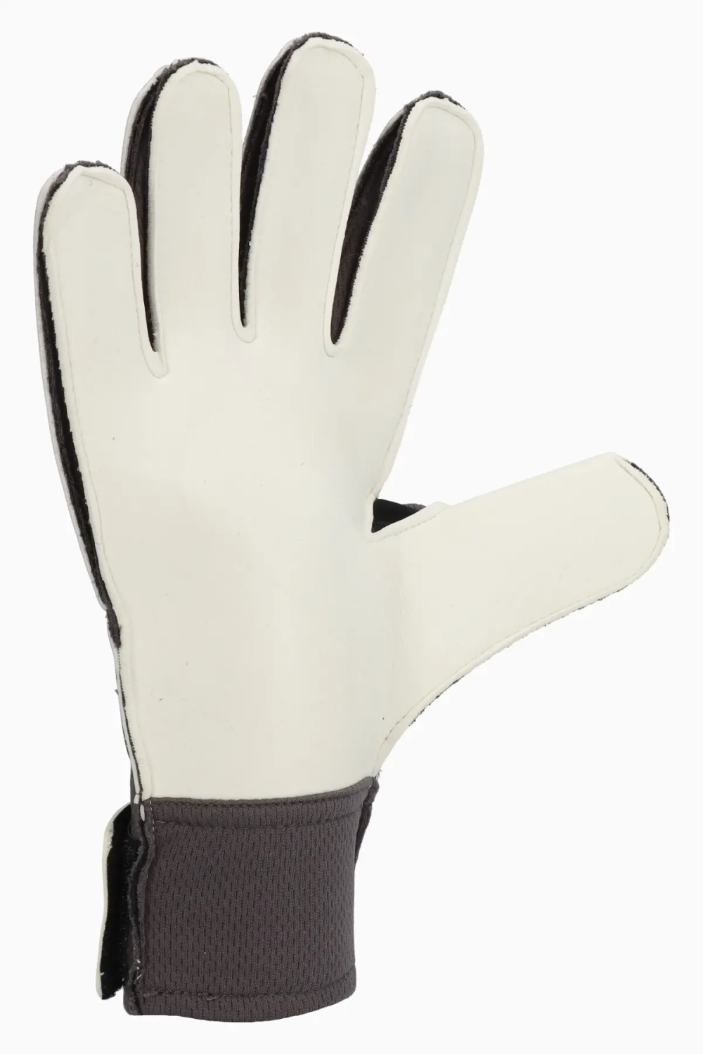 Вратарские перчатки Puma Ultra Play RC - черный