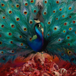 Opeth / Sorceress (Limited Edition)(Coloured Vinyl)(2LP+2CD+DVD Audio)