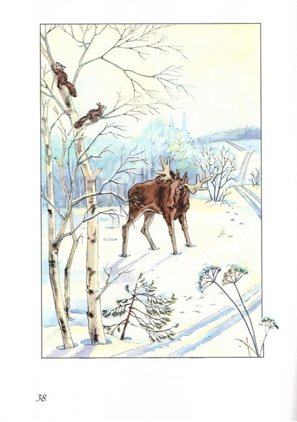 Животные рядом. Рассказы для детей. Н. Подольская