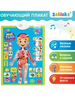 Обучающий плакат Изучаем анатомию: Моё тело