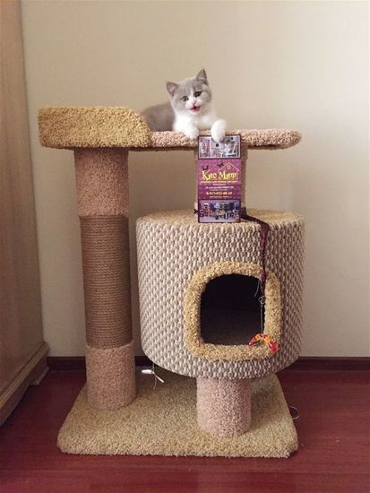 Дом для кота Д-6