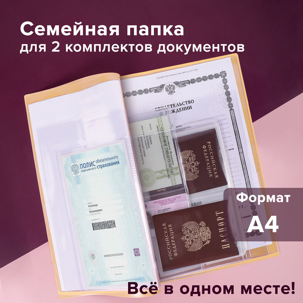 Папка для семейных документов с файлами (паспорта свидетельства полисы СНИЛС) STAFF 16 отделений ПВХ бежевая (2 штуки в упаковке)