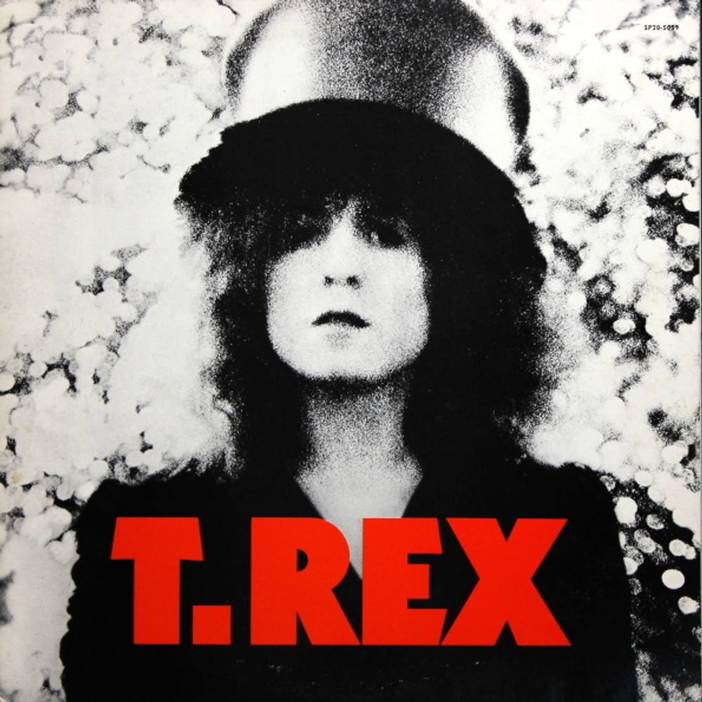 T. Rex / The Slider (LP)