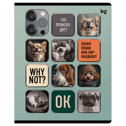 Тетрадь 48л., А5, клетка BG "Стикеры", конгрев, выб.лак Т5ск48_к_вл 08522