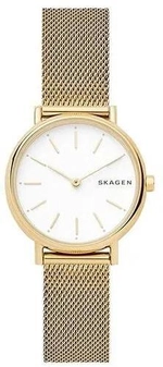 Женские наручные часы Skagen SKW2693