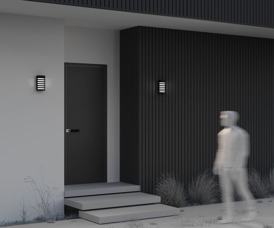 Настенный светильник (бра) Outdoor O034WL-01B