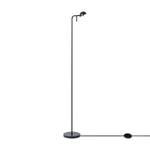 Напольный светильник (торшер) Freya FR5549FL-L5B