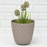 Горшок цветочный Wave 4,7л d205мм, французский платан